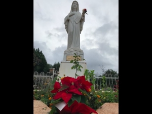 Урочиста посвята себе Ісусу через руки Марії, 8 грудня 2020 року